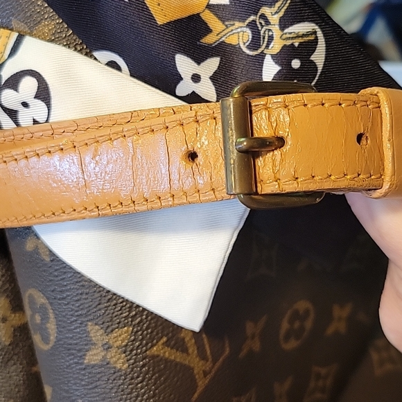 Guaranteed Authentic Louis Vuitton Large Bucket Noe GM - Picture 13 of 16